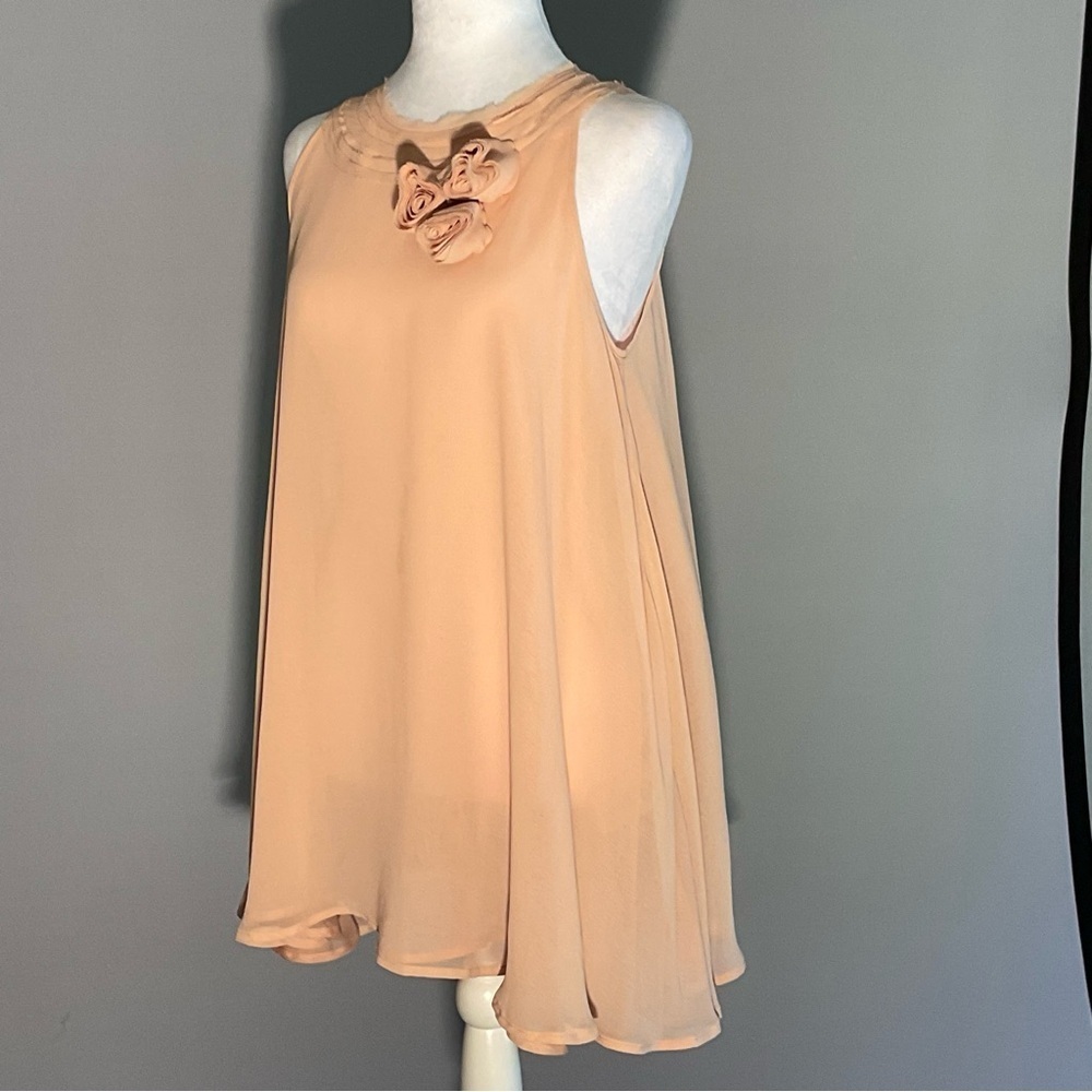 Twelve by Twelve Los Angeles Blush Chiffon Floral Appliqué Blouse Size S - Picture 6 of 16